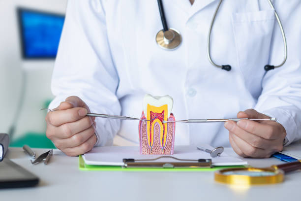 Best Pediatric Emergency Dentist in Bradford, OH